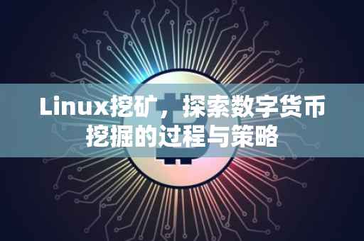Linux挖矿，探索数字货币挖掘的过程与策略