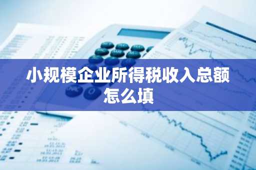 小规模企业所得税收入总额怎么填