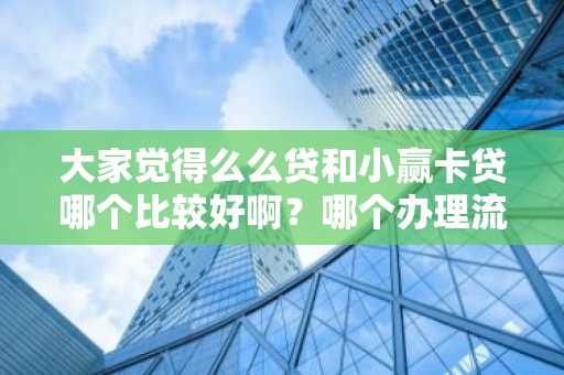 大家觉得么么贷和小赢卡贷哪个比较好啊？哪个办理流程更靠谱啊？