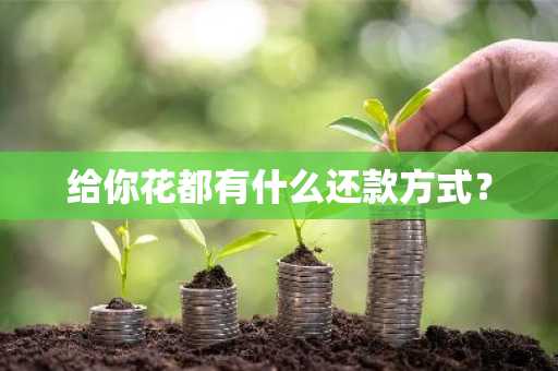 给你花都有什么还款方式？