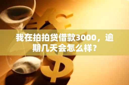 我在拍拍贷借款3000，逾期几天会怎么样？
