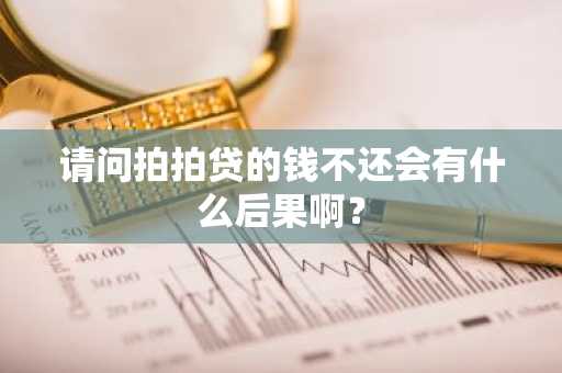 请问拍拍贷的钱不还会有什么后果啊？