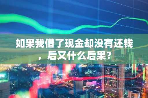如果我借了现金却没有还钱，后又什么后果？