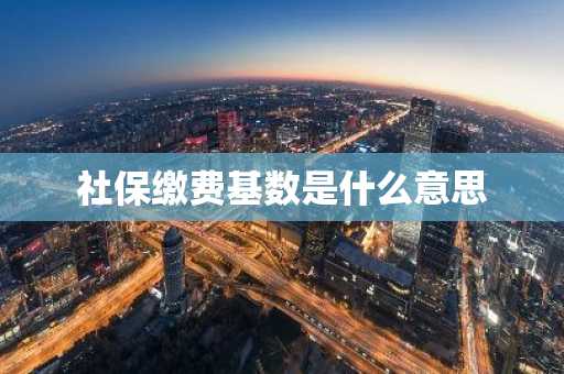 社保缴费基数是什么意思