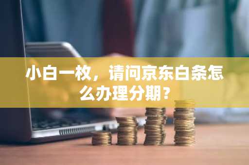 小白一枚，请问京东白条怎么办理分期？