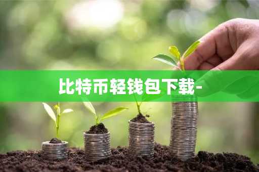 比特币轻钱包下载-