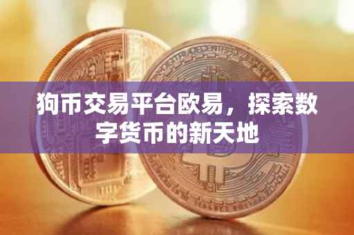 狗币交易平台欧易，探索数字货币的新天地