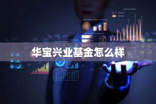华宝兴业基金怎么样