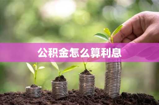 公积金怎么算利息