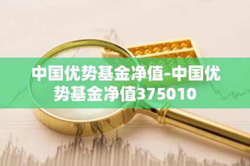 中国优势基金净值-中国优势基金净值375010