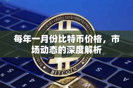 每年一月份比特币价格，市场动态的深度解析