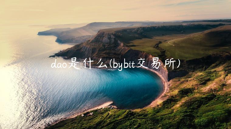 dao是什么 - bybit交易所