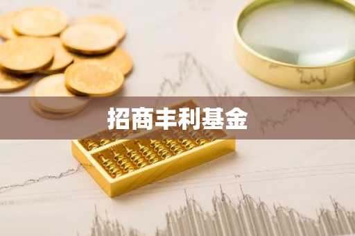 招商丰利基金