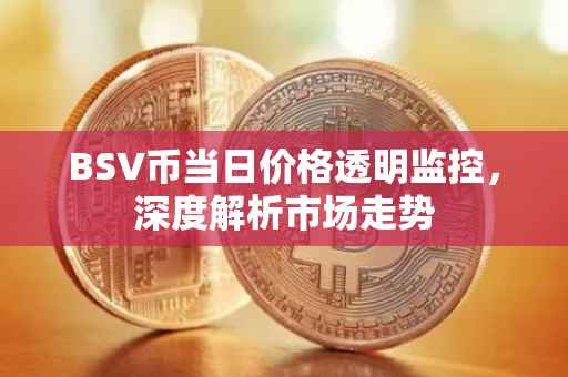 BSV币当日价格透明监控，深度解析市场走势