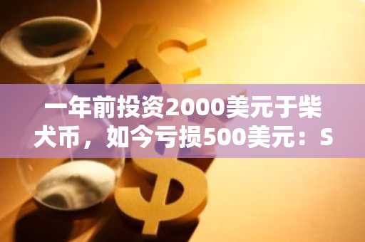 一年前投资2000美元于柴犬币，如今亏损500美元：SHIB的未来何去何从？