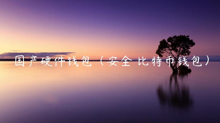 国产硬件钱包（安全 比特币钱包）
