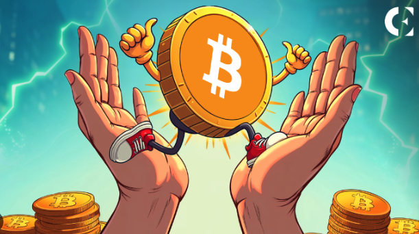 比特币最新行情实时查询工具 比特币今日价格走势详解