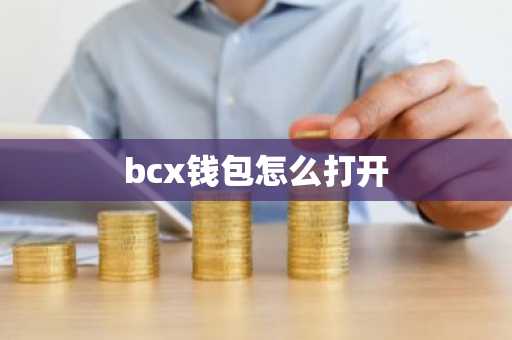 bcx钱包怎么打开