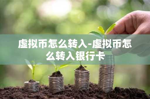 虚拟币怎么转入-虚拟币怎么转入银行卡