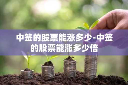 中签的股票能涨多少-中签的股票能涨多少倍
