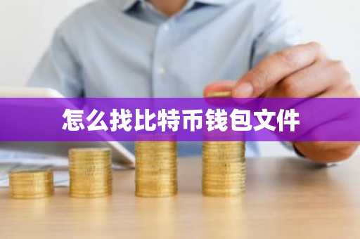 怎么找比特币钱包文件