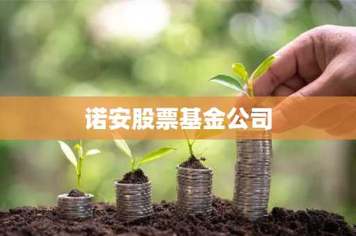 诺安股票基金公司