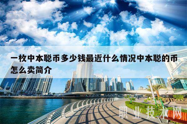 一枚中本聪币多少钱最近什么情况中本聪的币怎么卖简介