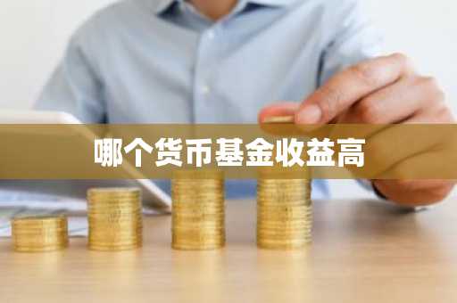 哪个货币基金收益高