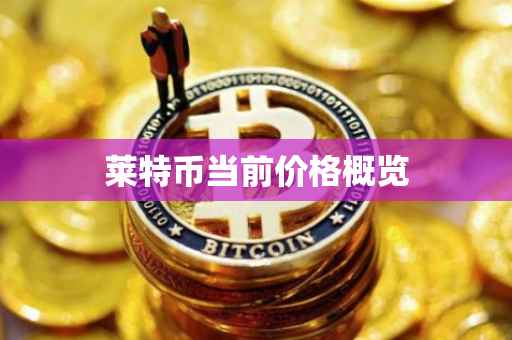 莱特币当前价格概览