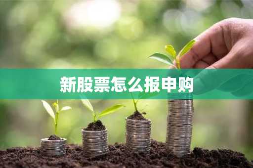 新股票怎么报申购