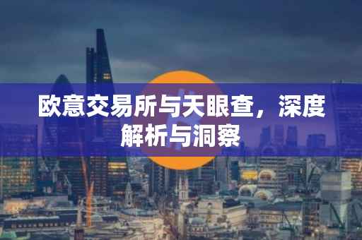 欧意交易所与天眼查，深度解析与洞察
