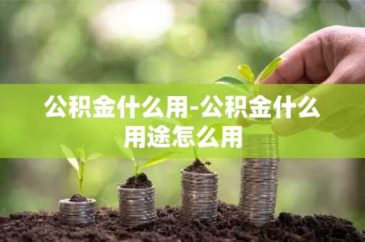 公积金什么用-公积金什么用途怎么用