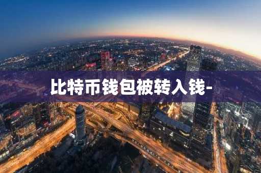 比特币钱包被转入钱-