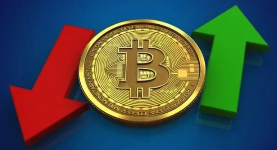 2025年比特币价格展望：BTC飙升至30万美元？以太坊突破1万美元？