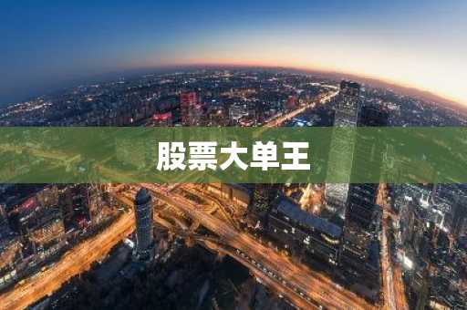 股票大单王