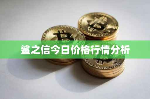 鲨之信今日价格行情分析
