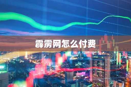 霹雳网怎么付费