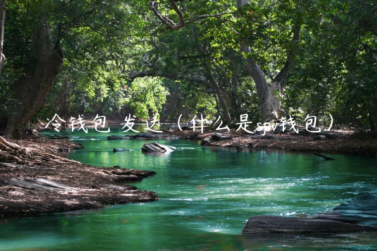 冷钱包 发送（什么是spv钱包）