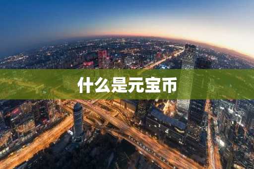 什么是元宝币