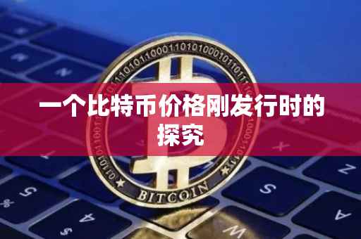 一个比特币价格刚发行时的探究