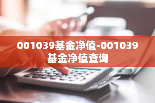 001039基金净值-001039基金净值查询