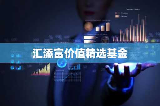 汇添富价值精选基金
