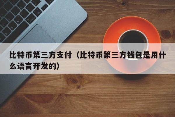比特币第三方支付（比特币第三方钱包是用什么语言开发的）