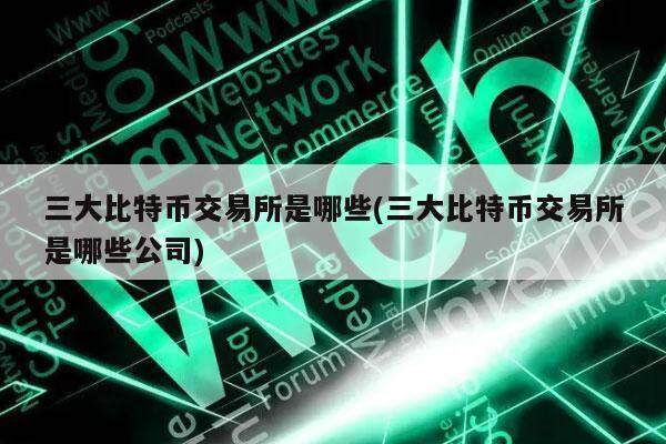 三大比特币交易所是哪些(三大比特币交易所是哪些公司)