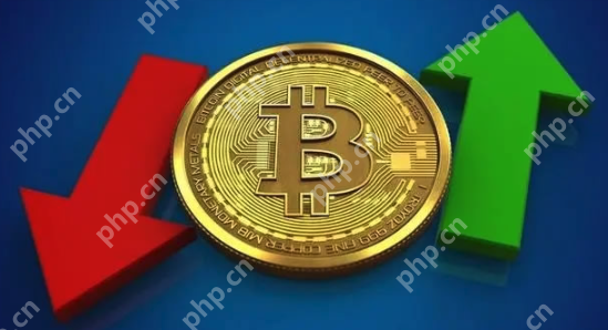 比特币价格2025年预测：BTC突破25万美元？波卡攀升至200美元？