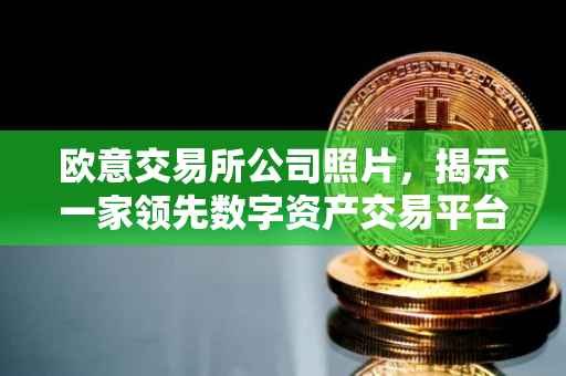 欧意交易所公司照片，揭示一家领先数字资产交易平台的日常
