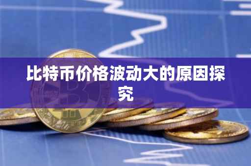 比特币价格波动大的原因探究