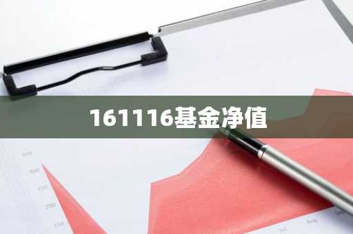161116基金净值