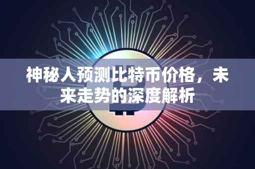 神秘人预测比特币价格，未来走势的深度解析