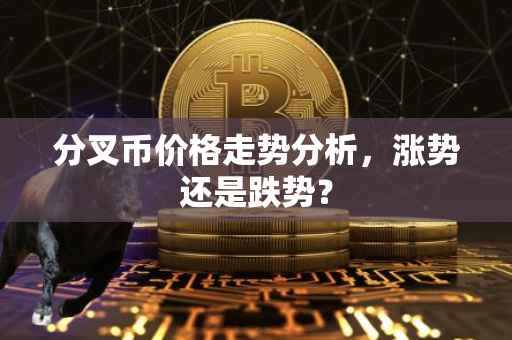 分叉币价格走势分析，涨势还是跌势？